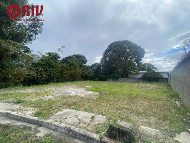 #61 - Área para Venta en Mérida - L - 1