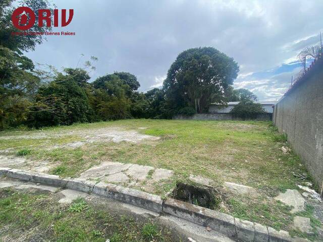 #61 - Área para Venta en Mérida - L - 2