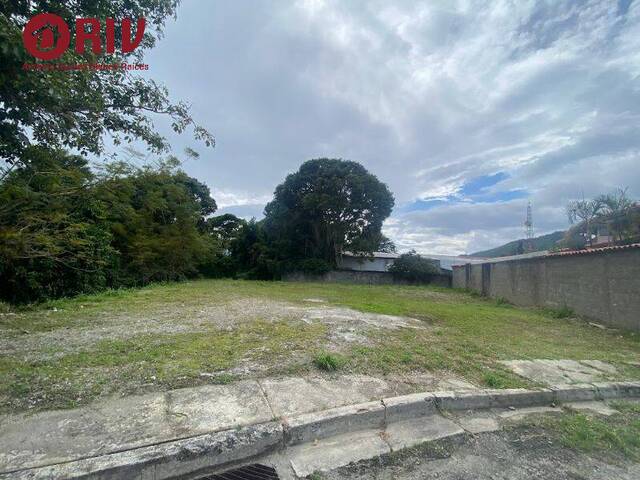 #61 - Área para Venta en Mérida - L - 3