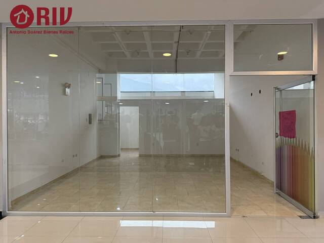 #81 - Establecimiento para Alquiler en Mérida - L - 2