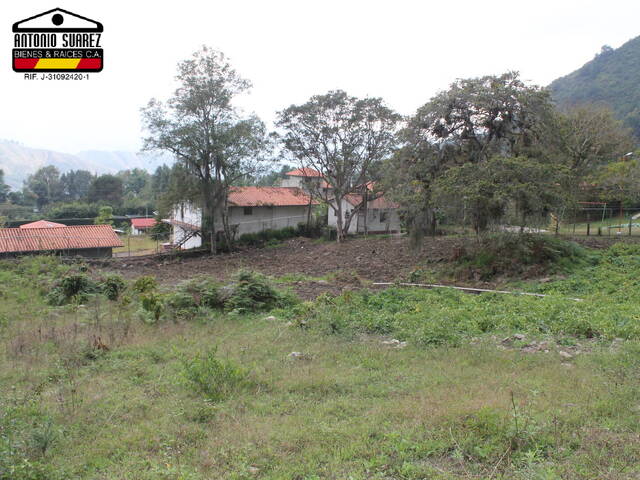 Área para Venta en Mérida - 5