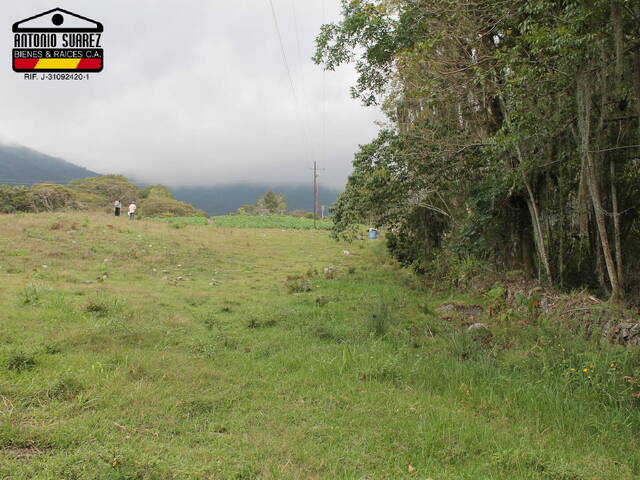 #71 - Área para Venta en Mérida - L - 1
