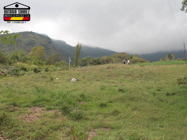 #71 - Área para Venta en Mérida - L - 2