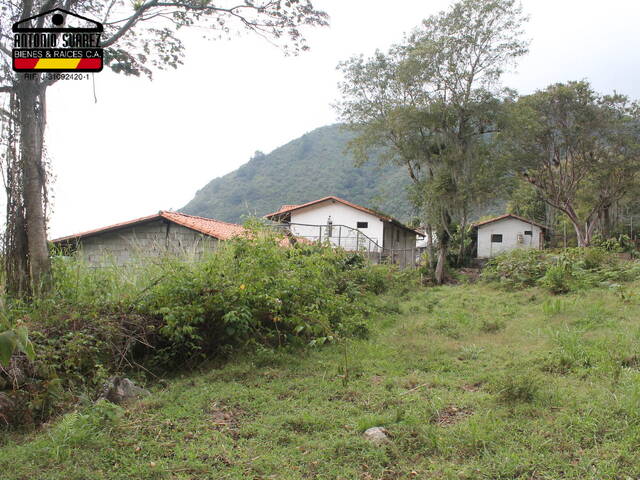Área para Venta en Mérida - 4