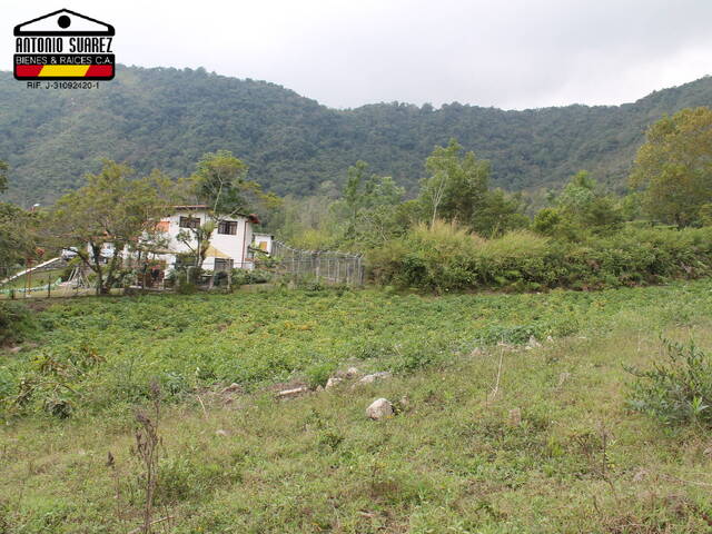 #71 - Área para Venta en Mérida - L - 3